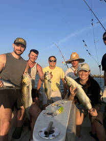 Big Bull Red Drum and Blue Fish 