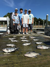 Norfolk Report Photo 1