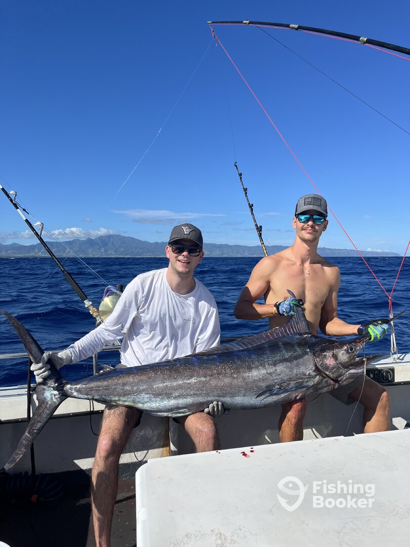 Haleiwa Report Photo 0