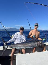 Blue marlin, wahoo and skipjack tuna! ha