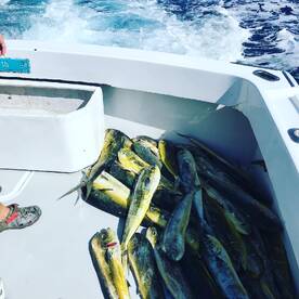 Pompano Beach Report Photo 1