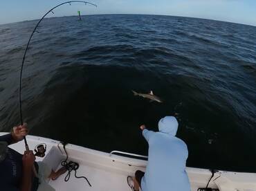 Fort Lauderdale Report Photo 1