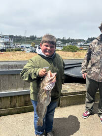 Newport Report Photo 2