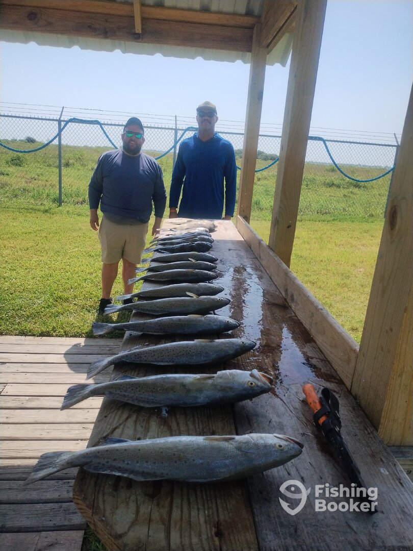 Texas City Report Photo 0