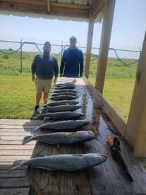 Full boxes and big smiles