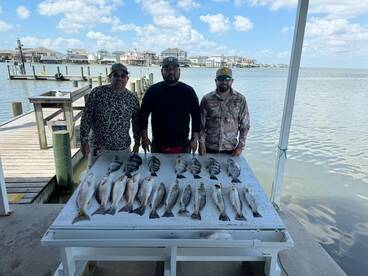Texas City Report Photo 1