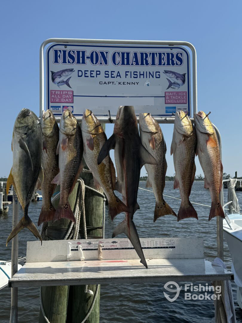 Biloxi Report Photo 0