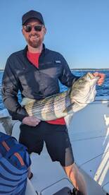 Sandwich Report Photo 1