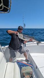 Sandwich Report Photo 2