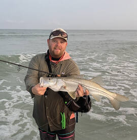 Palmetto Report Photo 2