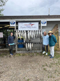 The Salmon are still in St. Joe!