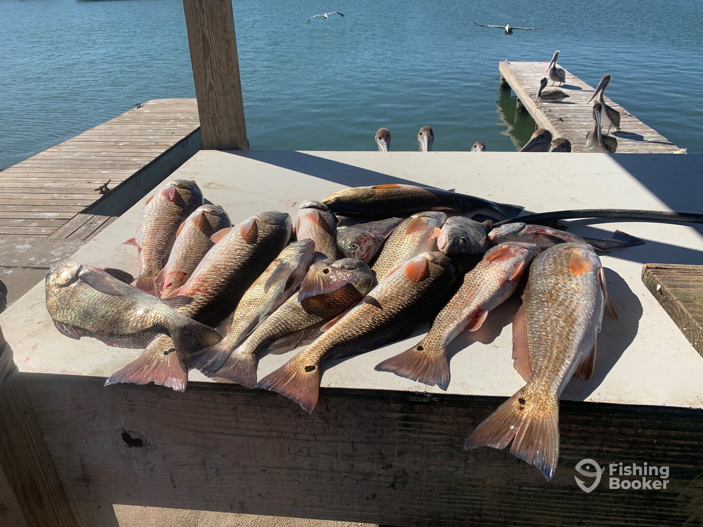 Rockport Report Photo 0