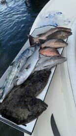 Siesta Key Report Photo 2