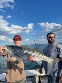 Bass are still here 