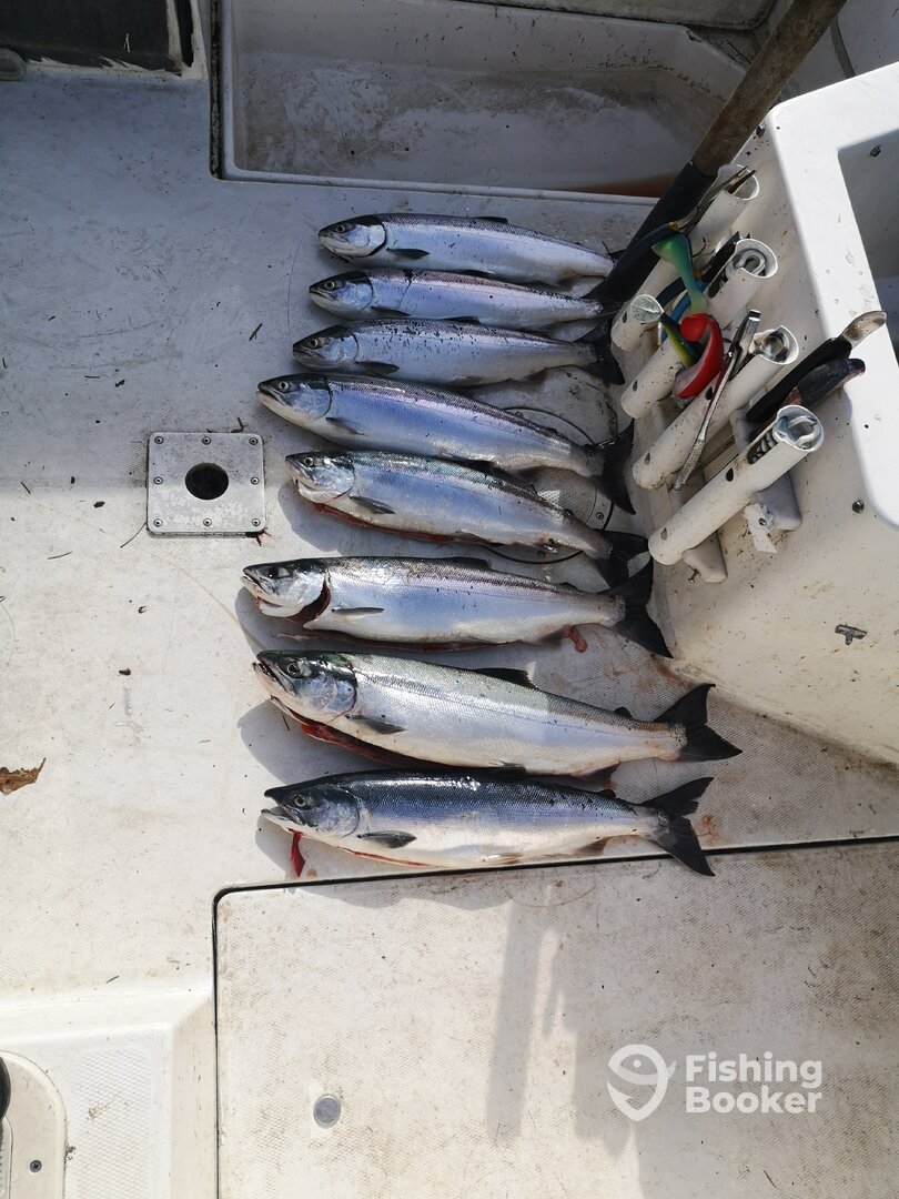 Parksville Report Photo 0