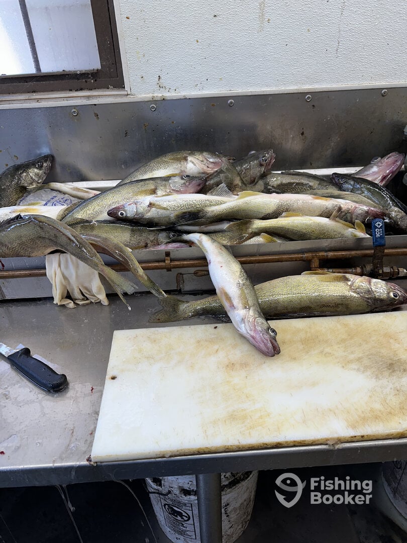 Conneaut Report Photo 0