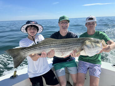 Montauk Report Photo 1