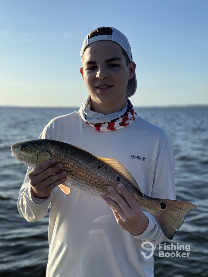 New Bern Report Photo 0