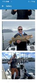 Lovely day in Ålesund