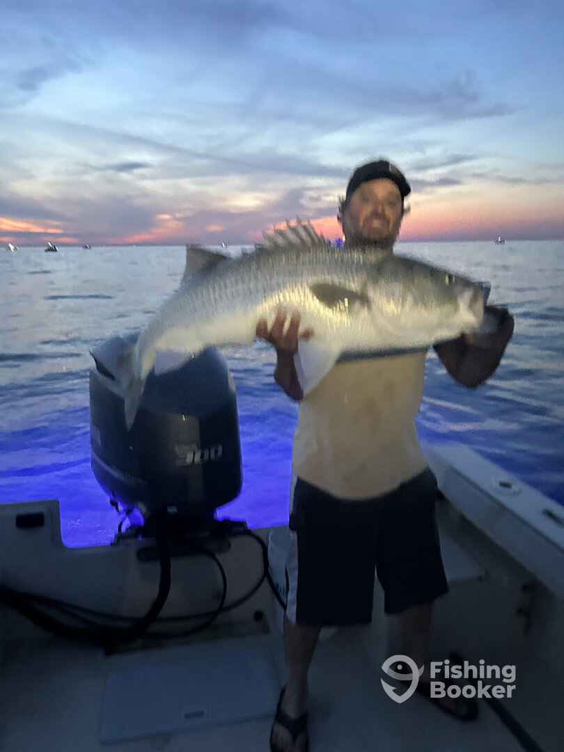 Montauk Report Photo 0