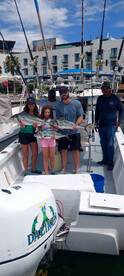 San Jose del Cabo Report Photo 1