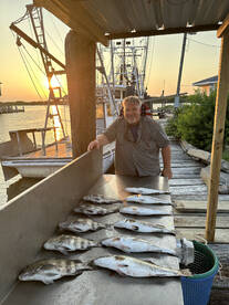 Bolivar Peninsula Report Photo 2