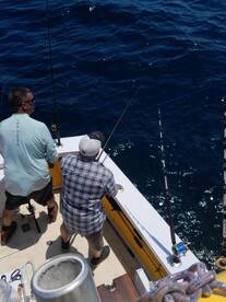 Wanchese Report Photo 2