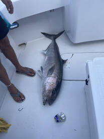 Miami Beach Report Photo 1