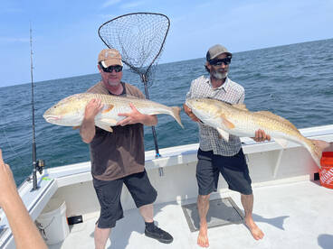 Virginia Beach Report Photo 1