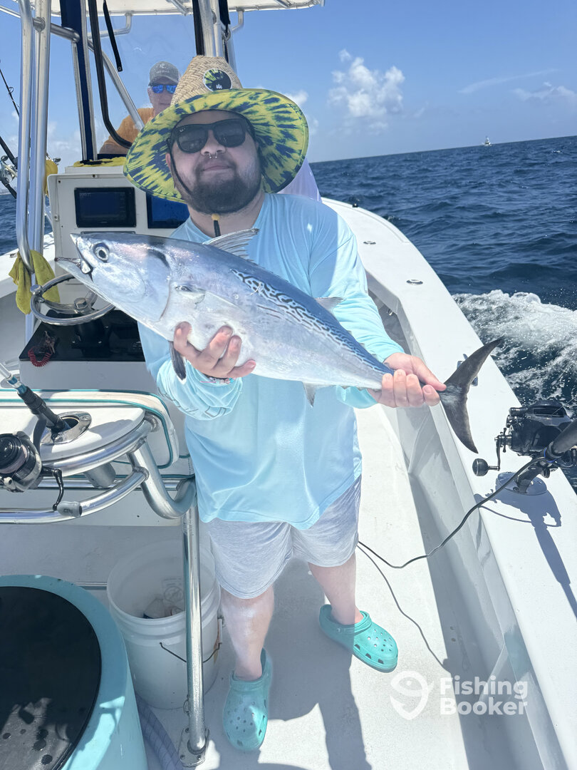 Fort Lauderdale Report Photo 0