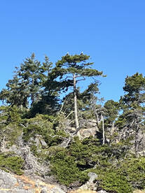 Sooke Report Photo 1