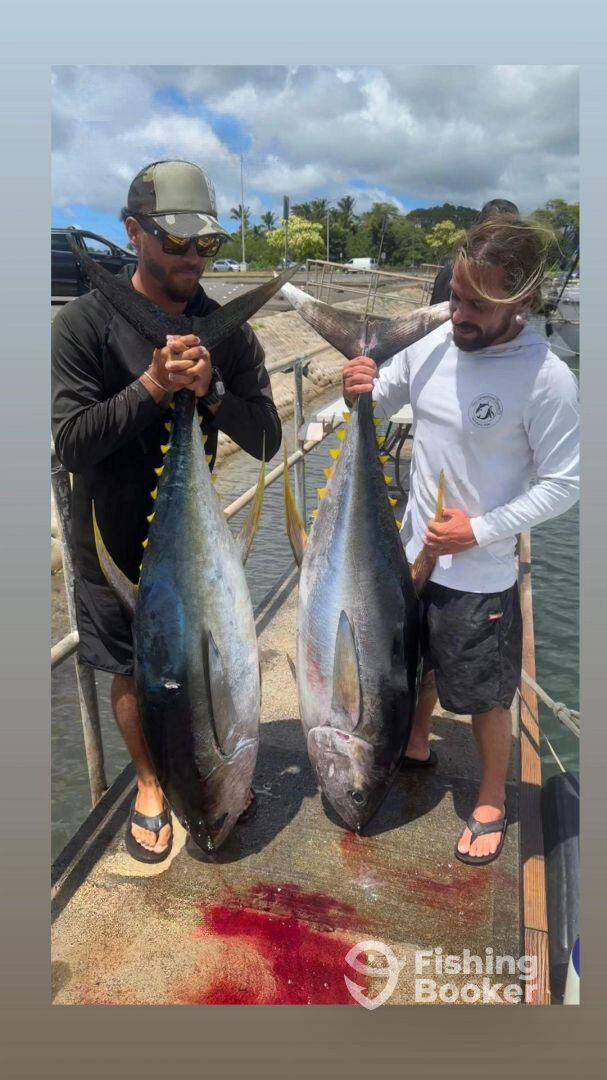 Haleiwa Report Photo 0