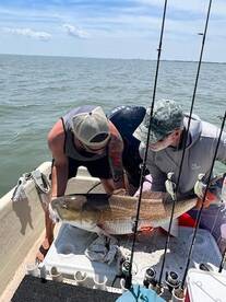 Chincoteague Report Photo 2