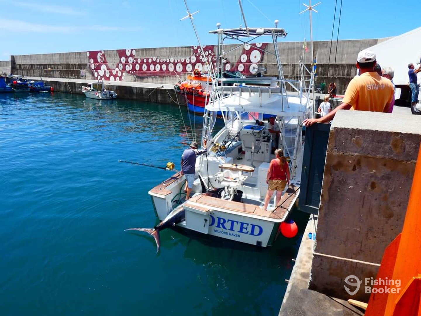 Calheta Report Photo 0