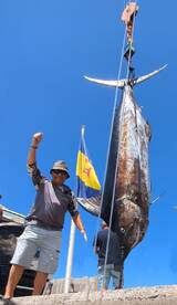 Calheta Report Photo 1