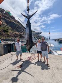 Calheta Report Photo 2