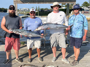 Wahoo are still here!