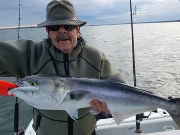 Boston Report Photo 2