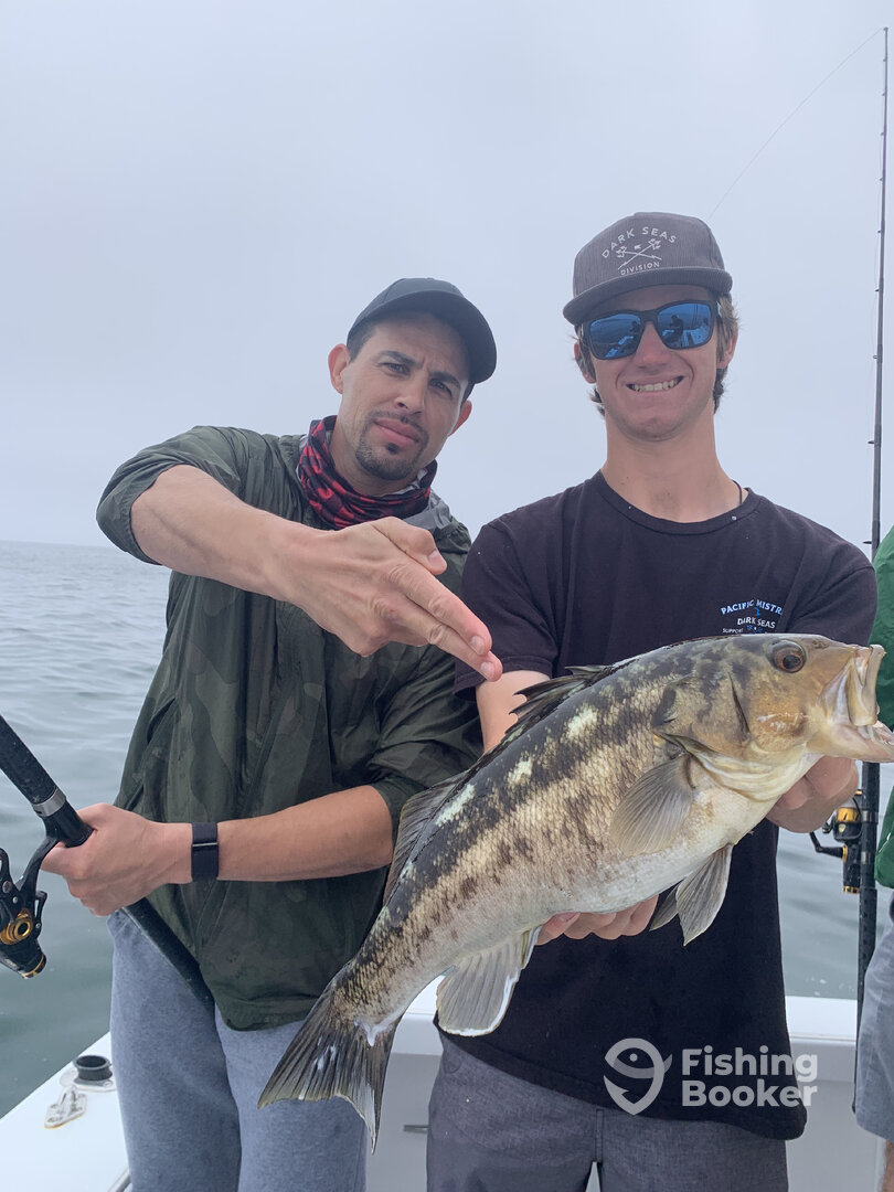 Dana Point Report Photo 0