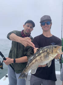 Coastal Trips Great Action!