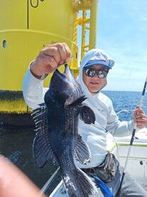 Virginia Beach Report Photo 2