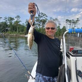 Manteo Report Photo 1