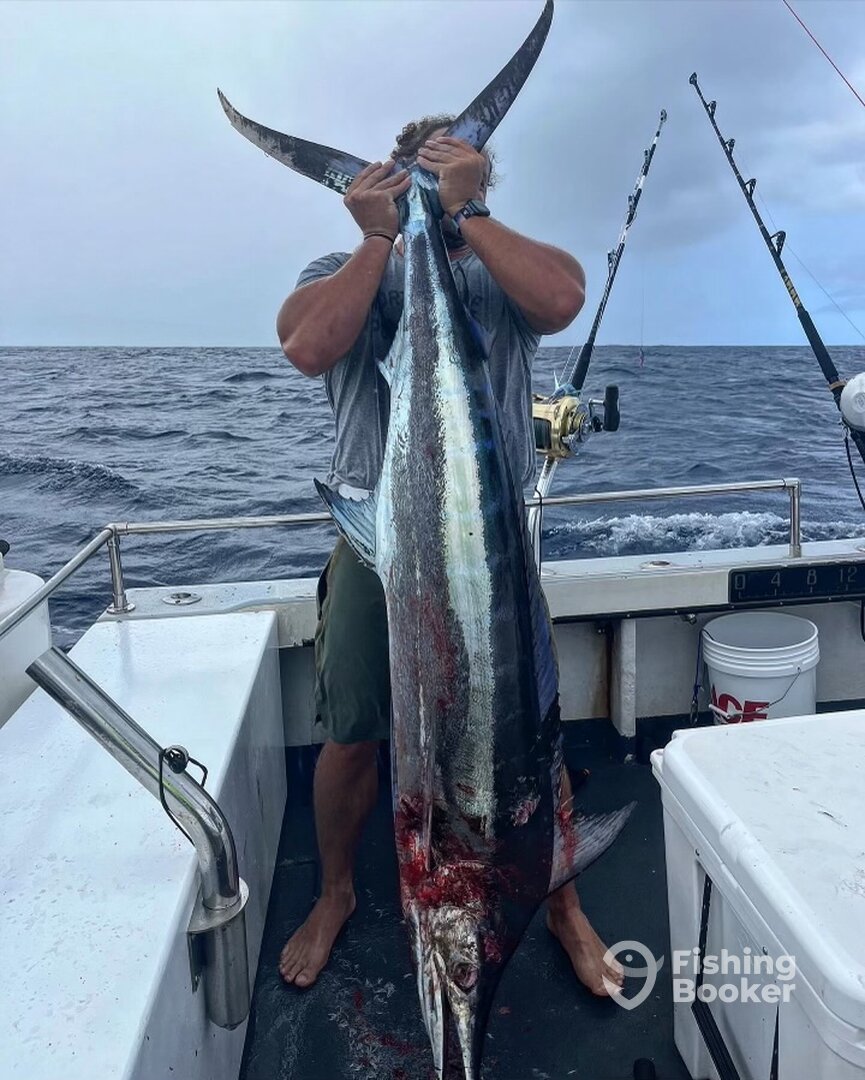 marlin