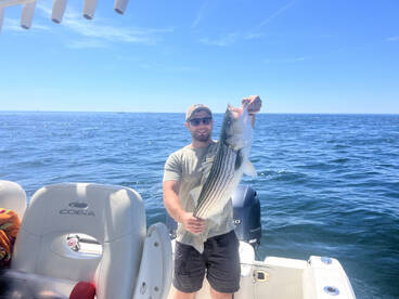 Dennis Report Photo 1