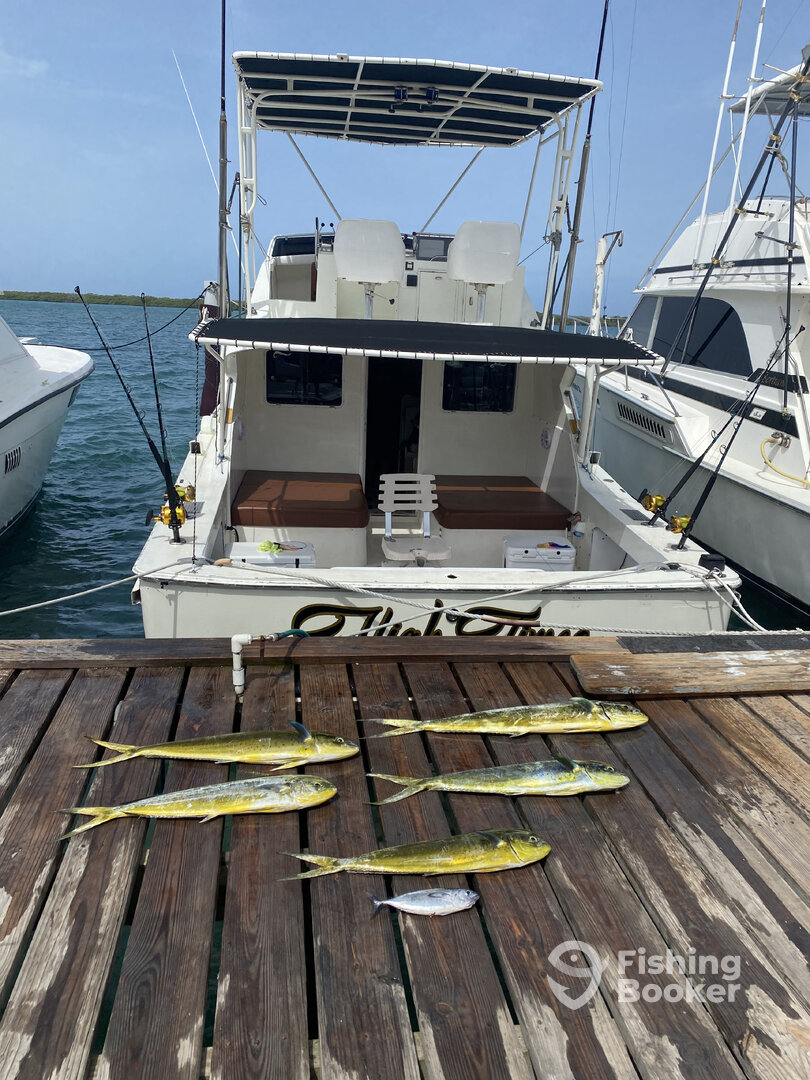 Oranjestad Report Photo 0