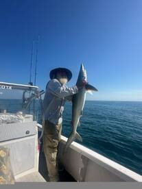New Smyrna Beach Report Photo 2