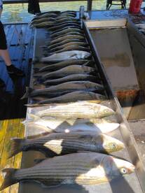 Fishings great