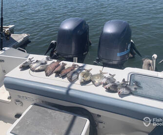 Port Orange Report Photo 2
