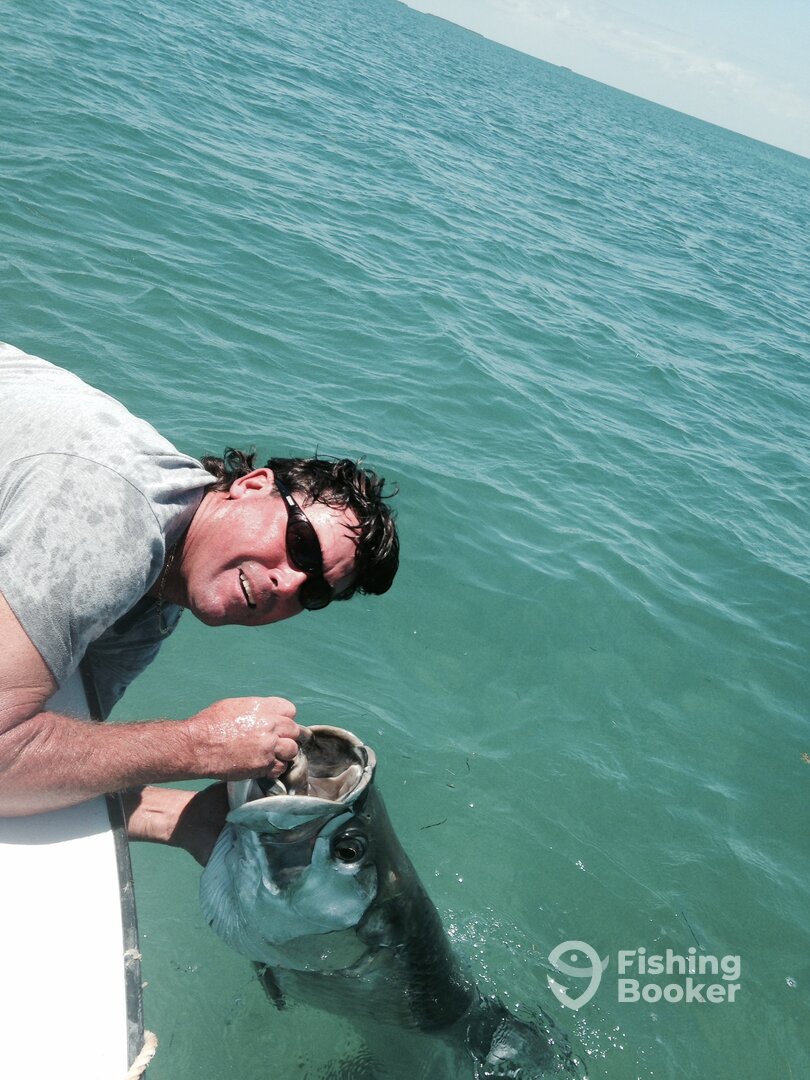 TARPON 