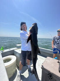 Virginia Beach Report Photo 1